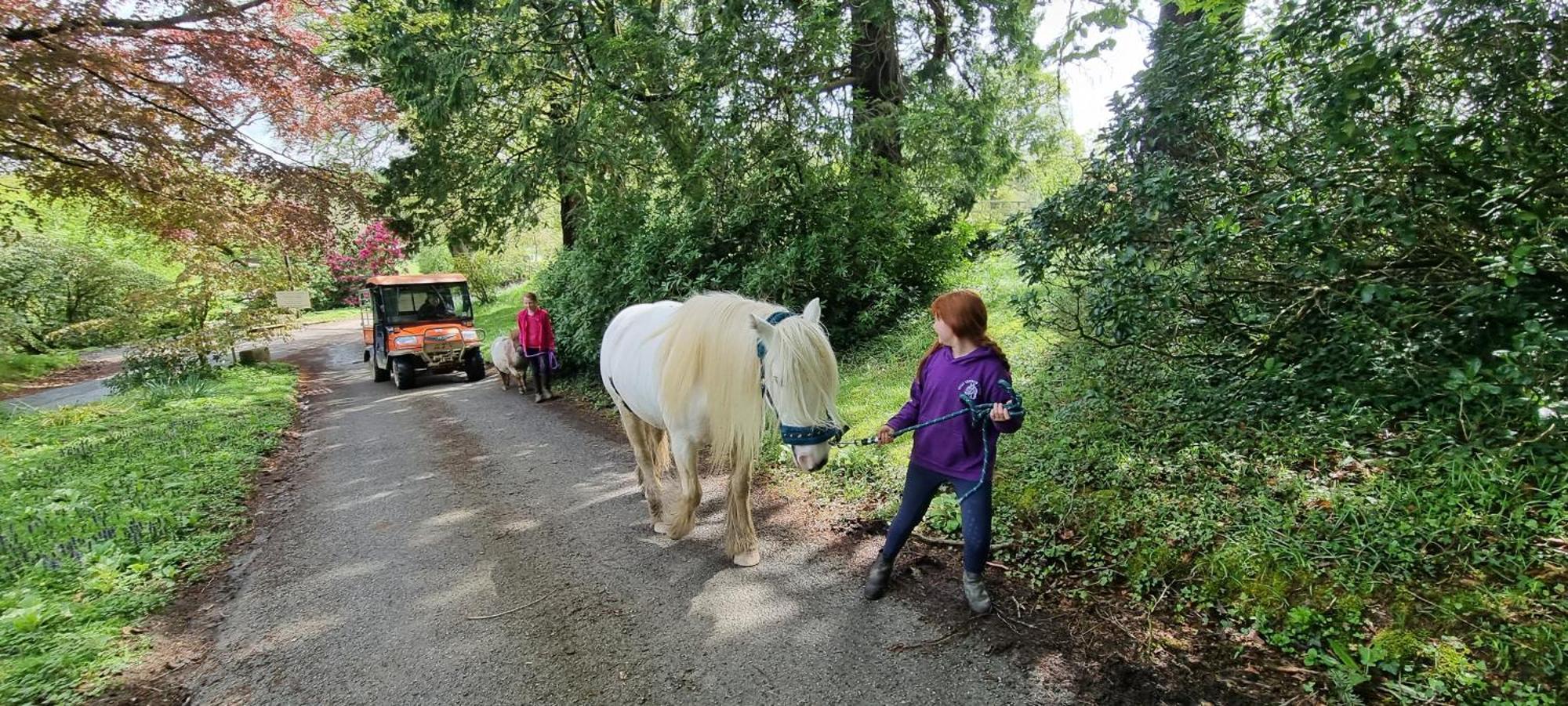 No 4 Trelawney Apartment - Onsite Bar - Restaurant - Horse Riding Menheniot Exteriör bild