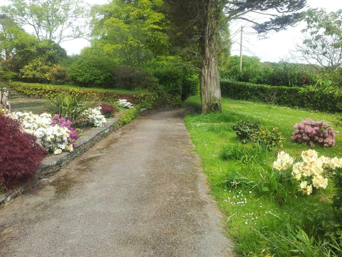No 4 Trelawney Apartment - Onsite Bar - Restaurant - Horse Riding Menheniot Exteriör bild