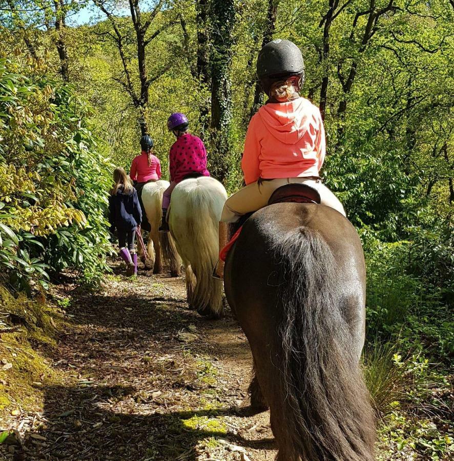 No 4 Trelawney Apartment - Onsite Bar - Restaurant - Horse Riding Menheniot Exteriör bild
